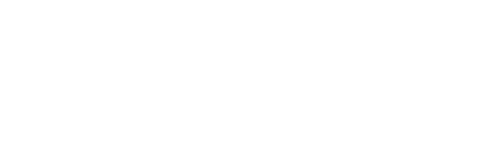 Logo MACH Solutions