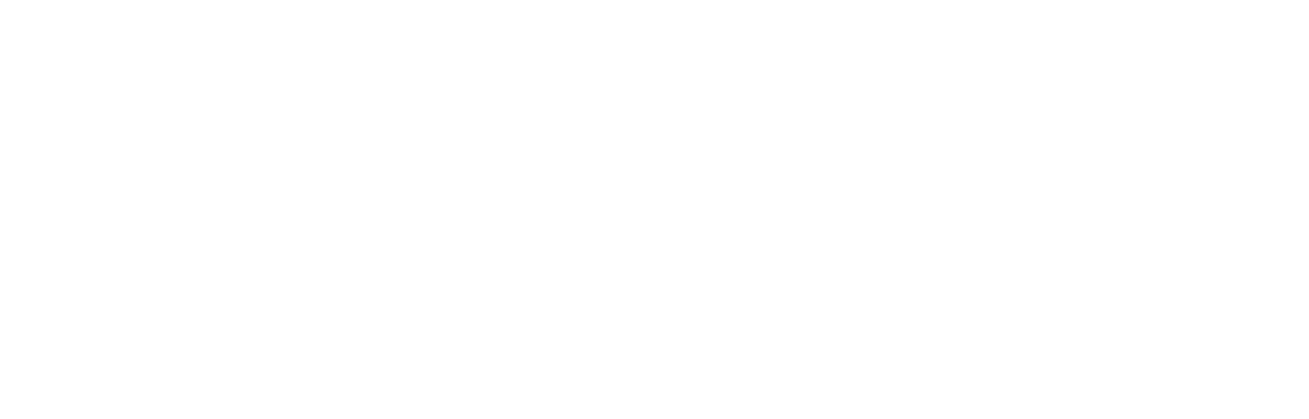 Logo MACH Solutions